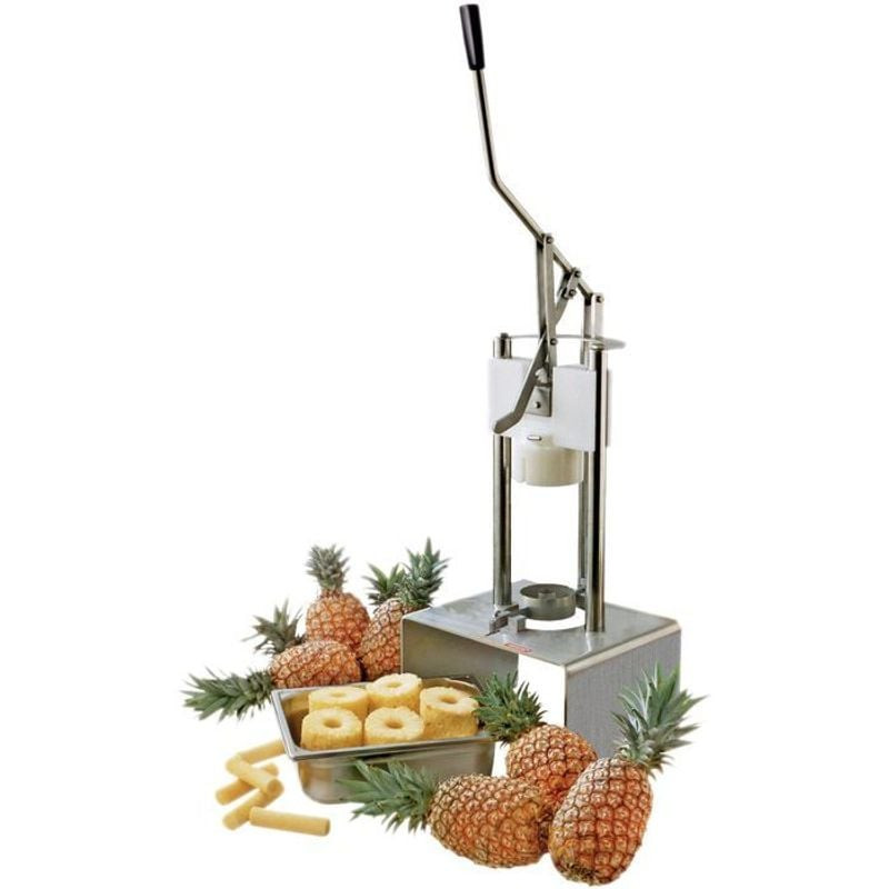 L2G Accessoire d'étrognage D.95 mm - Machine à peler les ananas