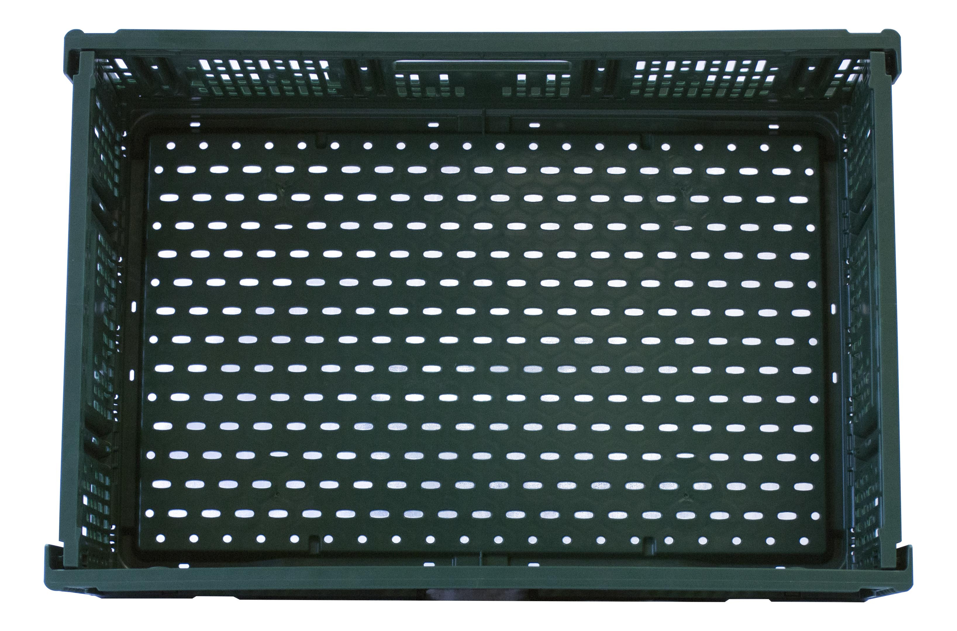 Caisse verte pliable L2G pour fruits et légumes - Stockage ventilé