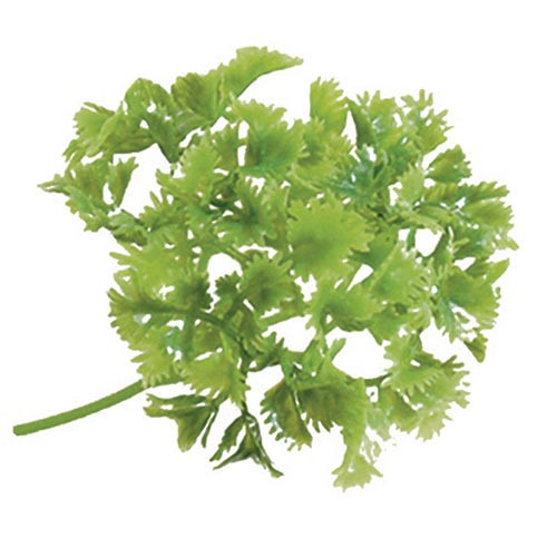 Paquet de 12 bottes de persil artificiel L2G - Décoration vitrine CHR