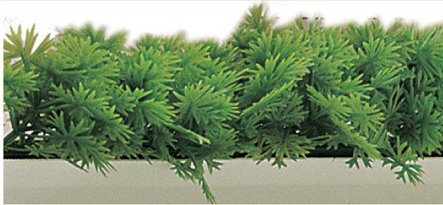 Séparateur Feuillage Persil L2G - Décoration Vitrine Professionnelle