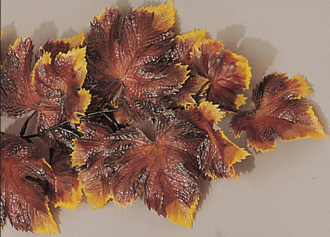 Guirlande Feuillage Automne L2G 2.70m - Décoration Professionnelle