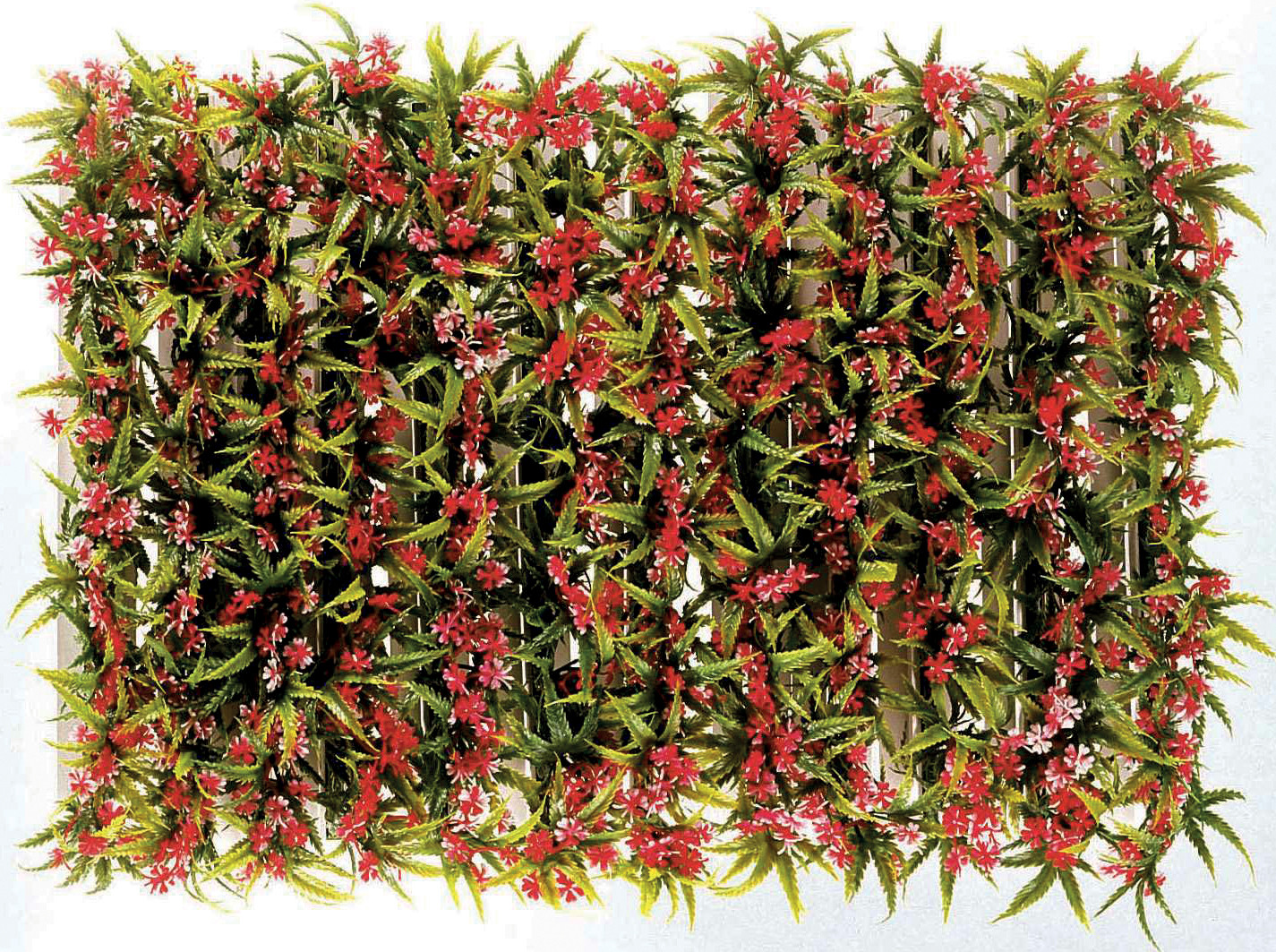 Boîte de 12 barrettes fleurs des champs L2G - Décoration vitrine pro