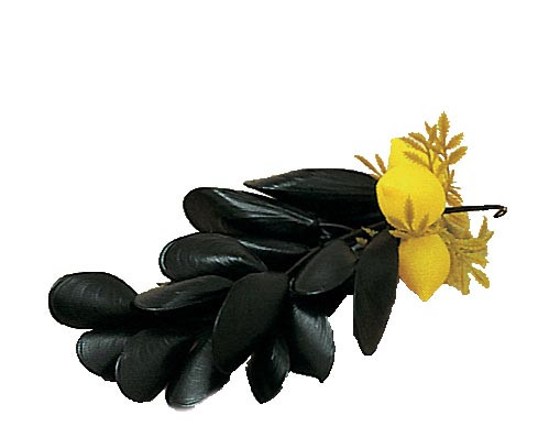 Grappes de moules avec citron L2G - Décoration étal poissonnerie