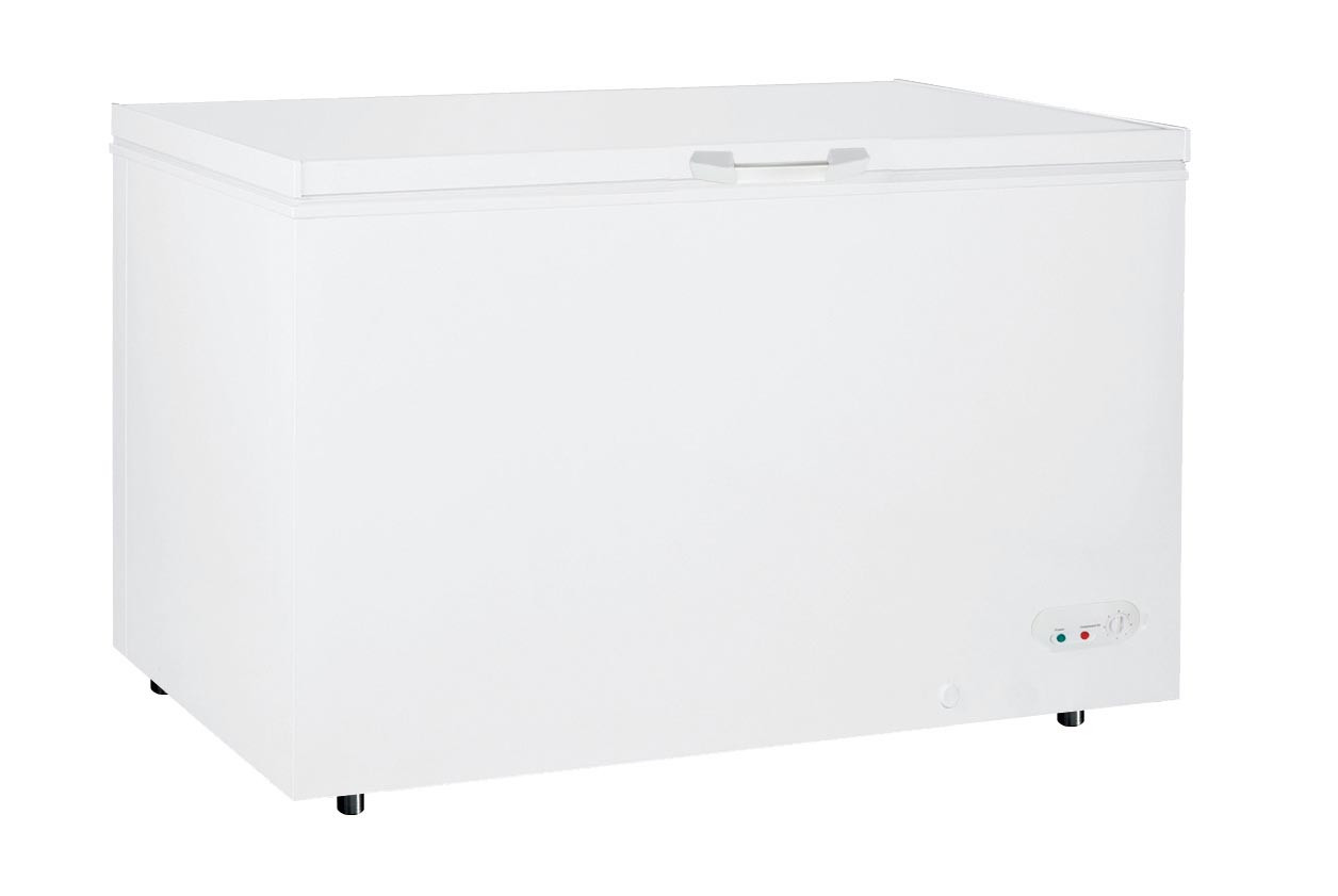 Congélateur Bahut L2G BD-205A -18°C à -22°C Professionnel 200L