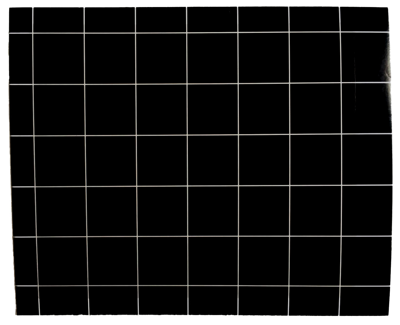 Plaques adhésives noires L2G - 6 pièces pour exterminateurs