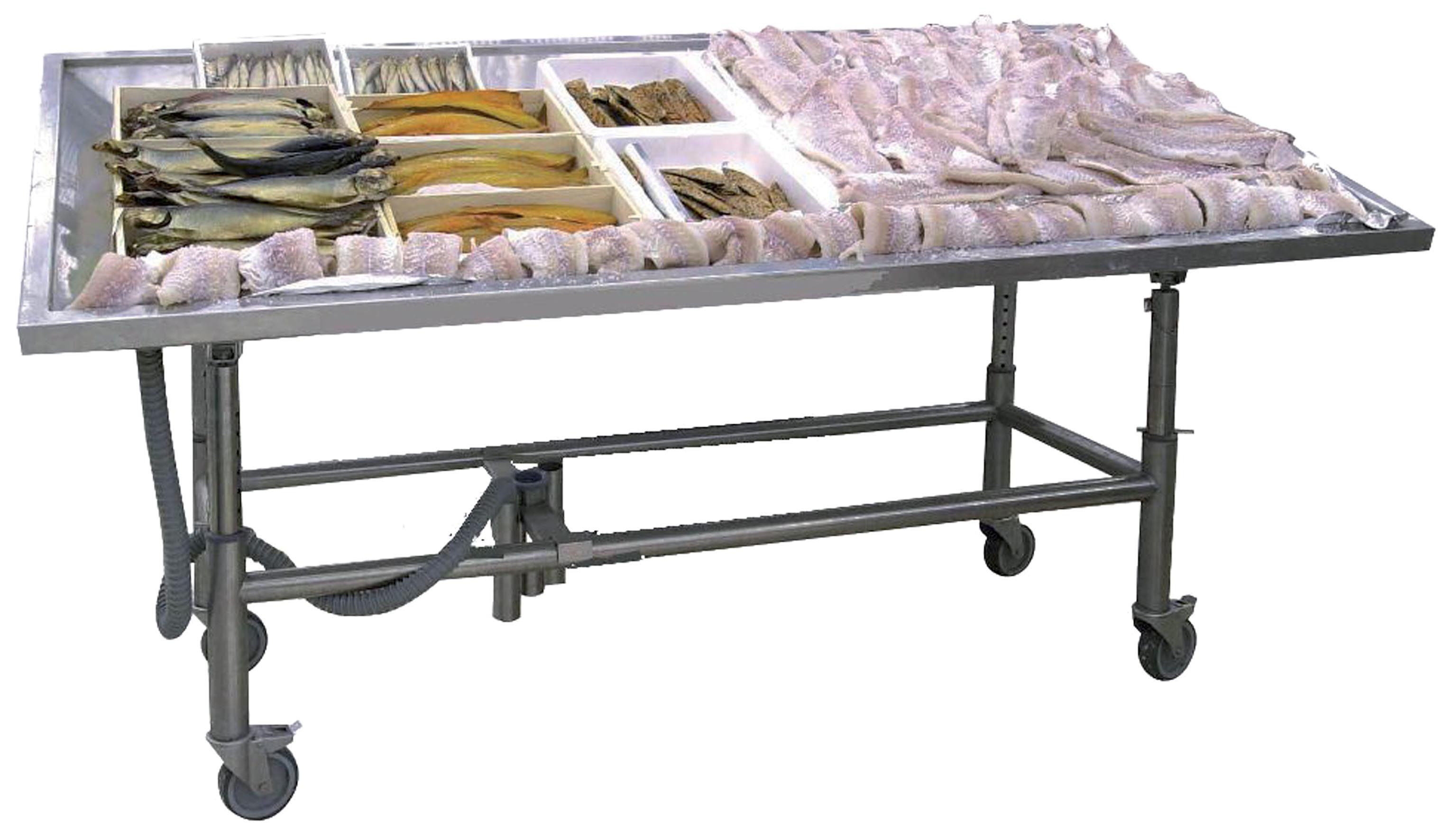 Module de présentation poisson L2G - Inox 304 mobile et réglable