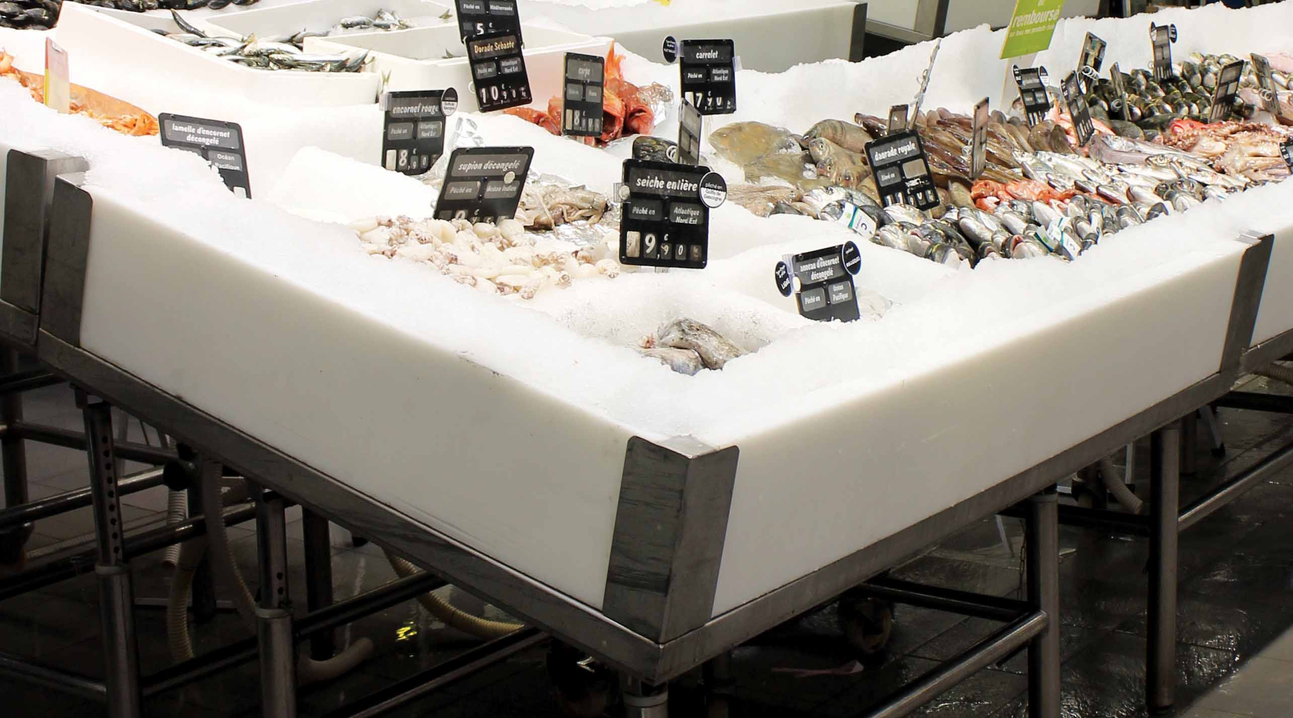 Entourage Poly H200 + Cadre Inox + 4 Potelets Inox - L2G