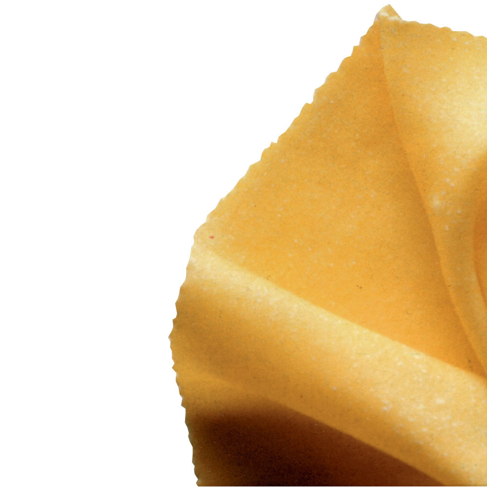 Matrice à pâte Diamond 170G - Accessoire pro pour pâtes fraîches